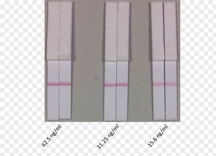 Biotinylation Antibody Scientist Floor PNG