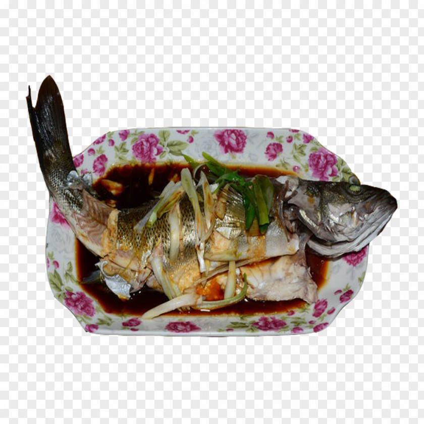 Steamed Perch With Scallion And Ginger Teppanyaki Sichuan Cuisine Dish Steaming PNG