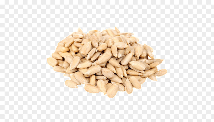 Sunflower Seeds PNG seeds clipart PNG