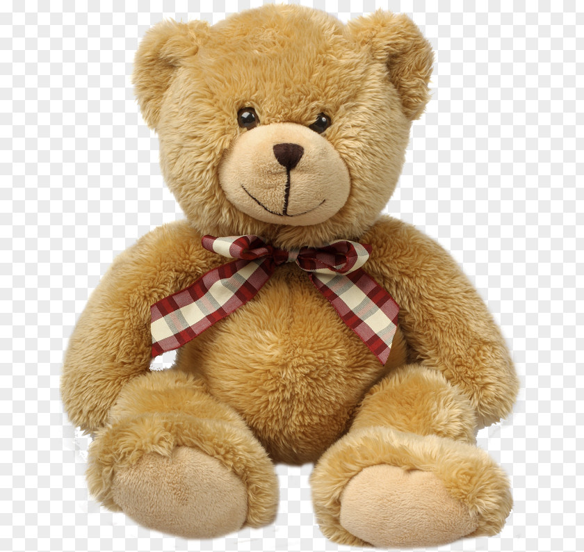 Teddy Bear Stuffed Animals & Cuddly Toys Child PNG bear Child, clipart PNG