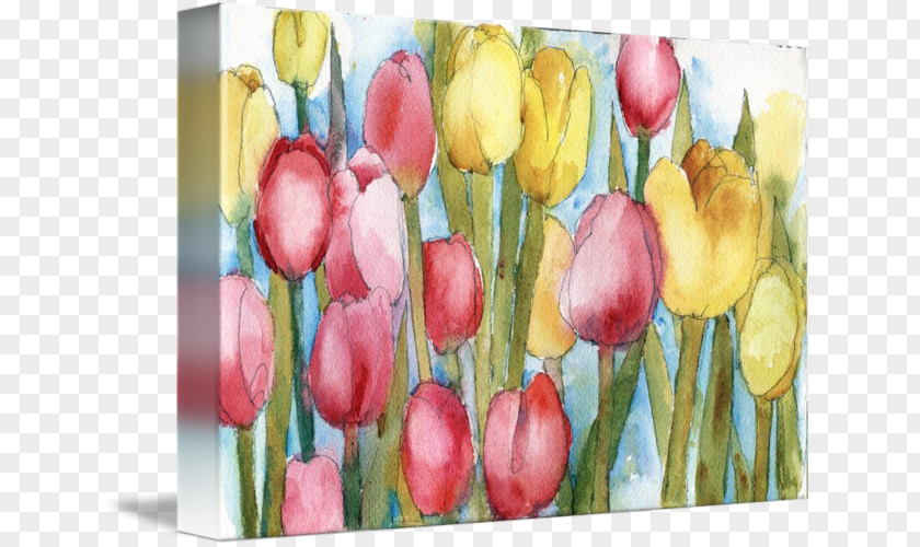 Watercolor Tulip Painting Gallery Wrap Floristry PNG