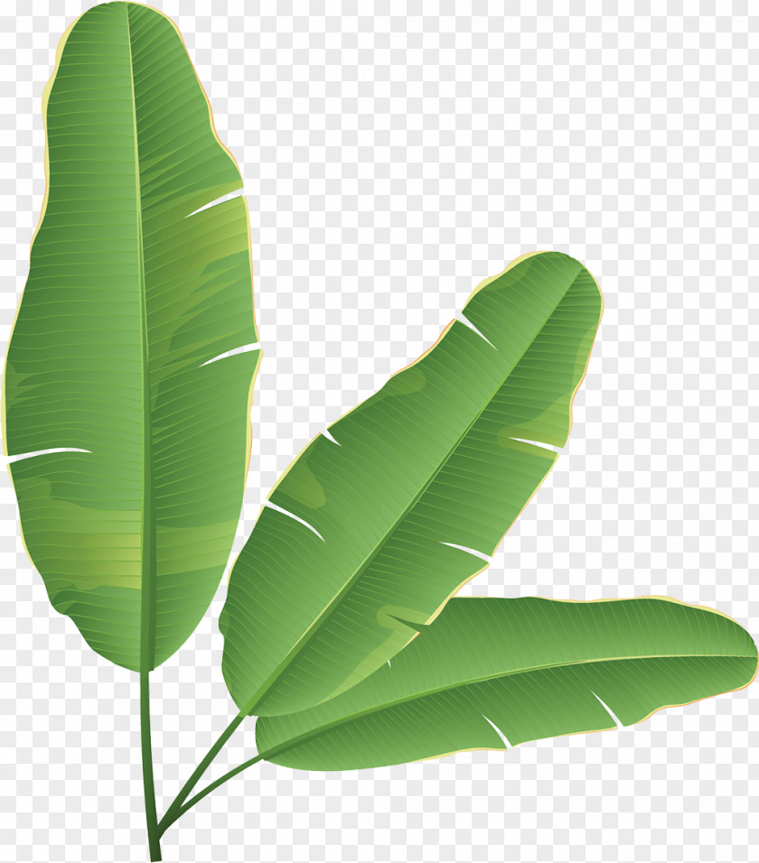 Banana Leaves Leaf Bread Clip Art PNG
