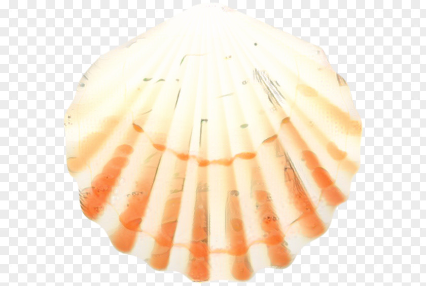 Shellfish Food Seafood Background PNG