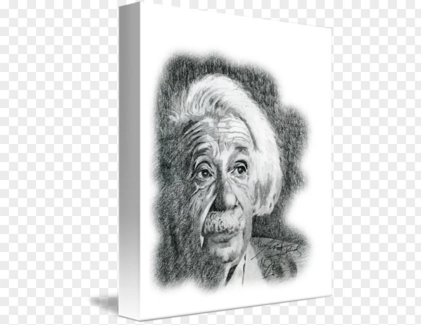 Albert Einstein Gorilla Chimpanzee Homo Sapiens Jaw Sketch PNG