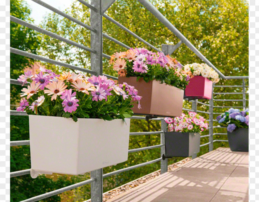 Balcony Color Flowerpot White Red PNG