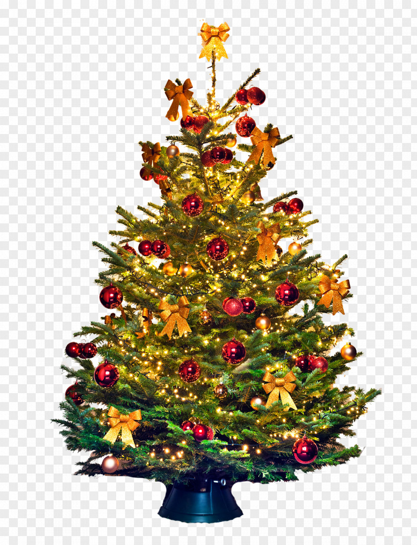 Christmas Tree Ornament Fraser Fir Bombka PNG