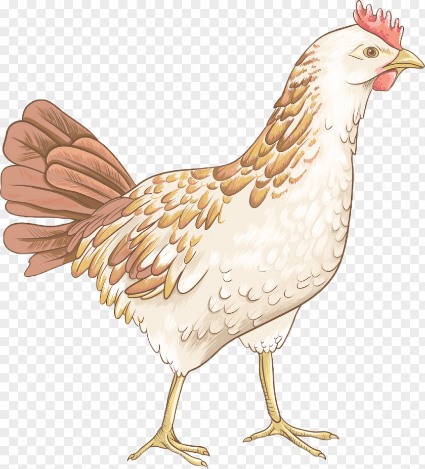 Hand-painted Chicken Royalty-free Clip Art PNG