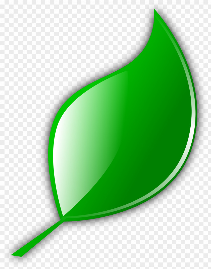 Leaf, Leave Icon Green Tea Leaf Clip Art PNG