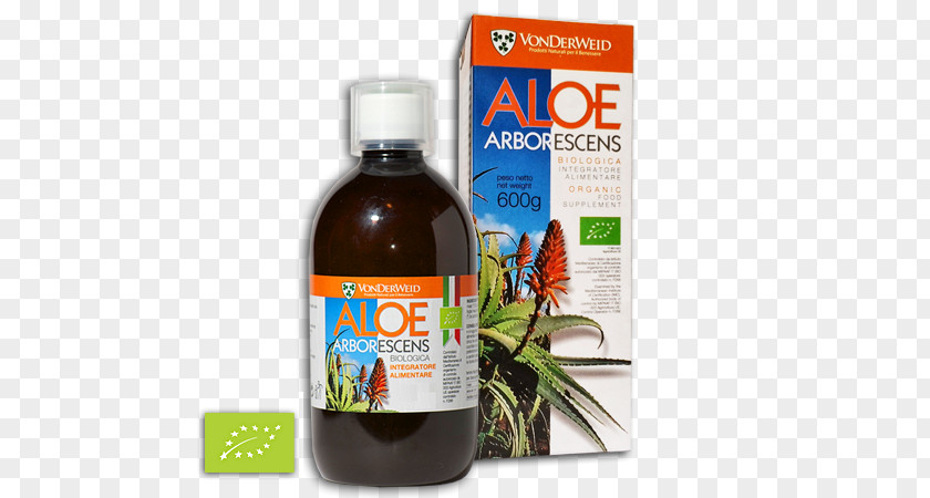 Plants Dietary Supplement Aloe Vera Candelabra Herbalism PNG