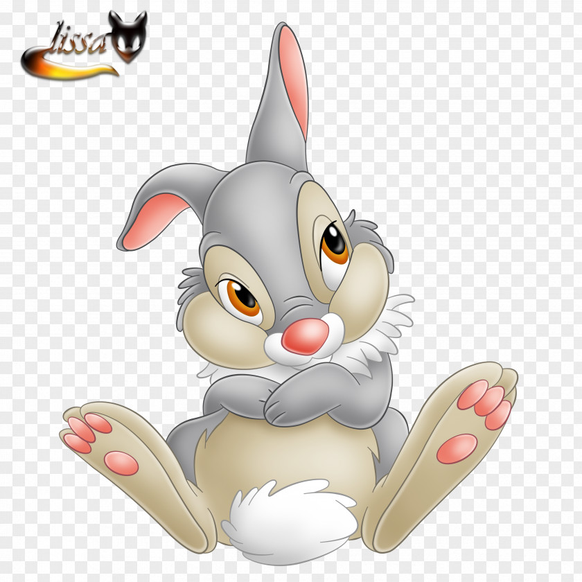 Rabbit Thumper Friend Owl Drawing Clip Art PNG