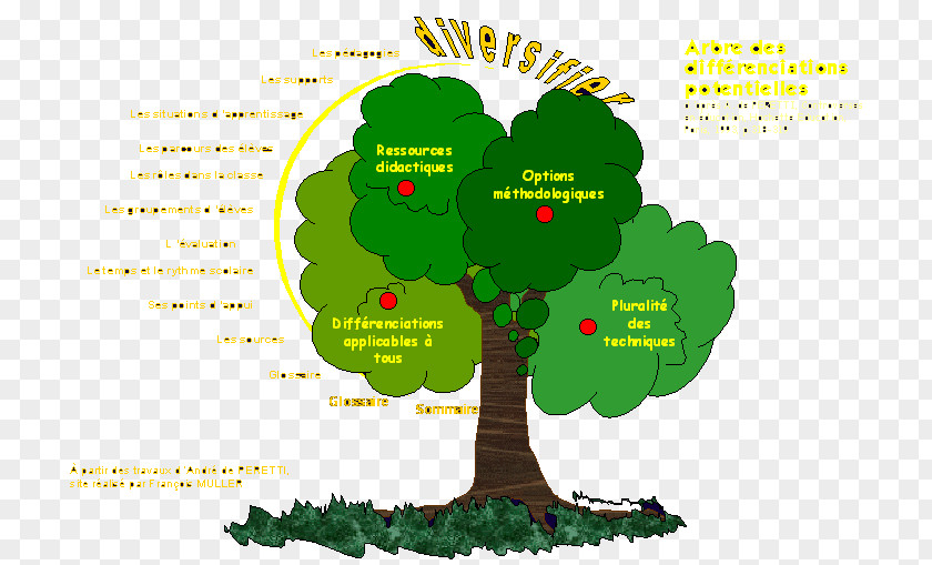 Tree Pedagogy Education Teacher Homework PNG