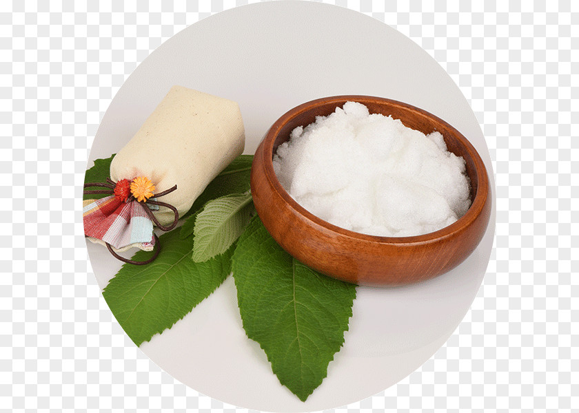 Camphor Tree Oil Ngai Dryobalanops Aromatica PNG