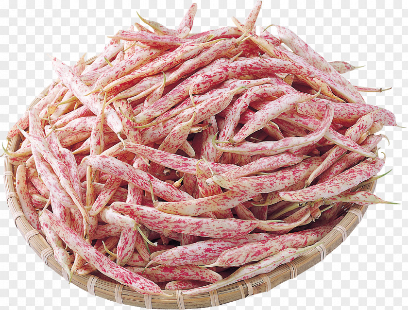 Cranberry Bean Pink M Recipe PNG