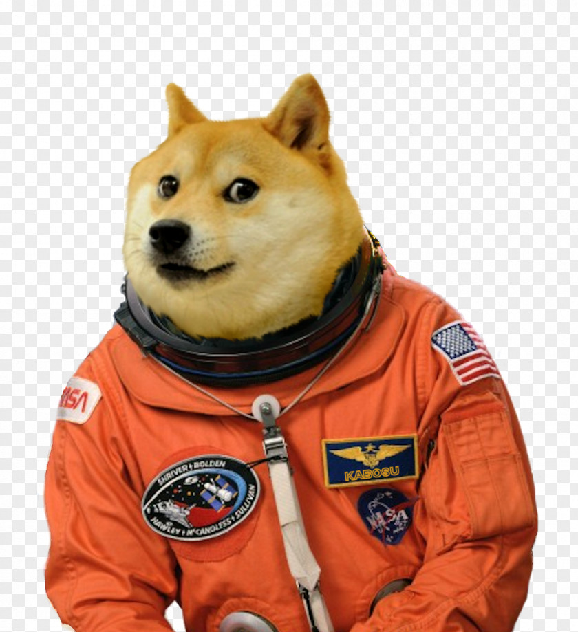 Dog Breed United States Doge Astronaut PNG