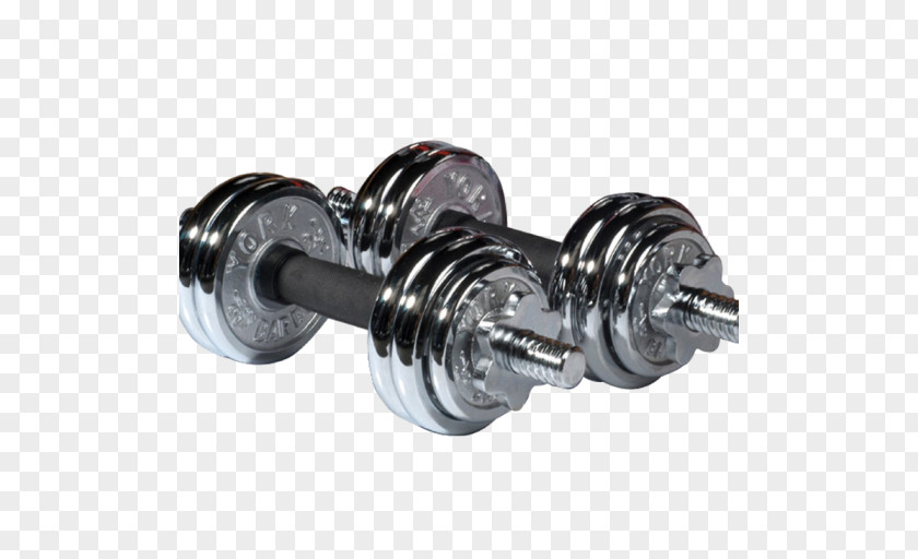 Dumbbell Weight Training Barbell Exercise Physical Fitness PNG