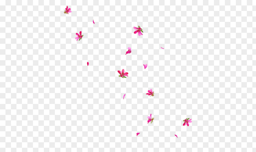 Falling Flowers Icon PNG