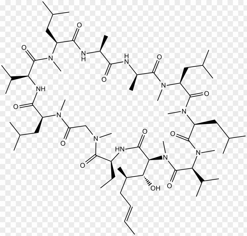 Raas Cyclosporine Cyclophilin Calcineurin Inhibitor Immunosuppressant Immunosuppressive Drug PNG
