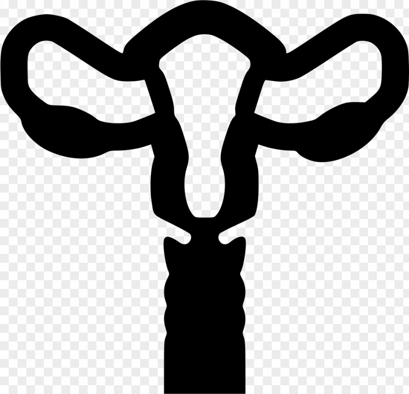 Uterus Icon Gynaecology Female Reproductive System Ovary PNG