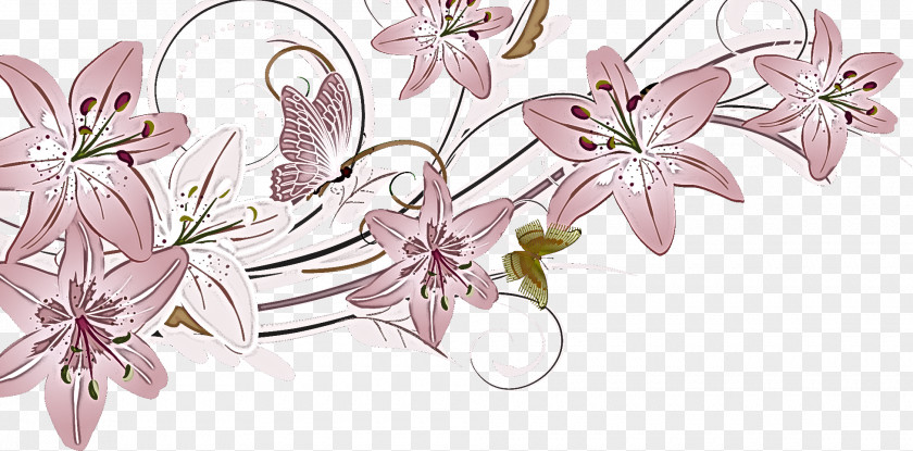 Lily Flower PNG