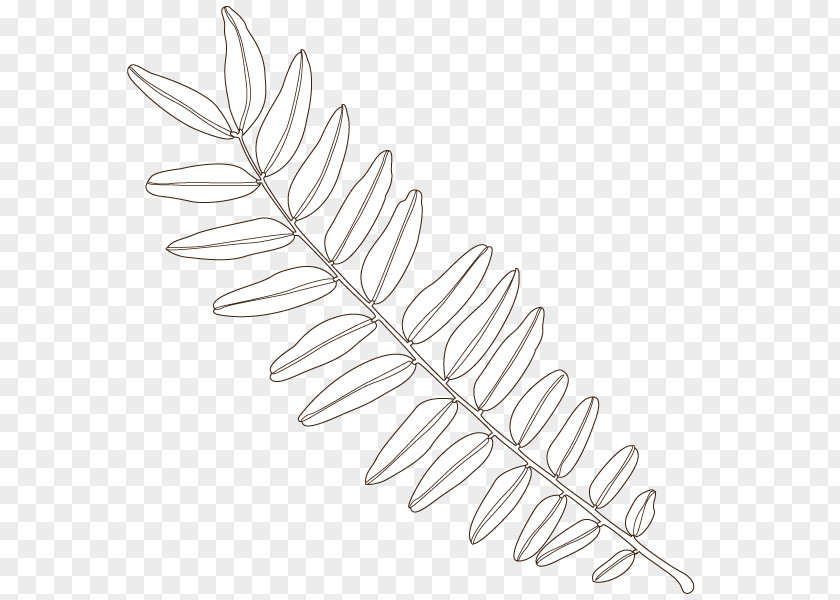 Line Twig Art Angle Leaf PNG