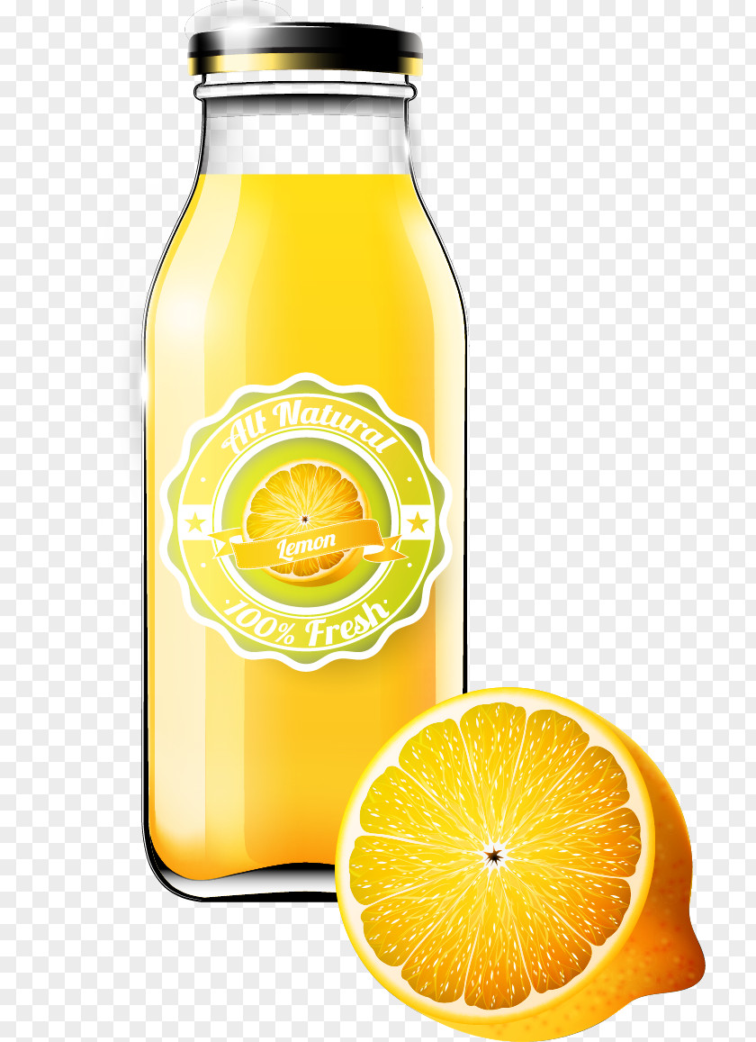 Orange Juice Drink Bottle PNG