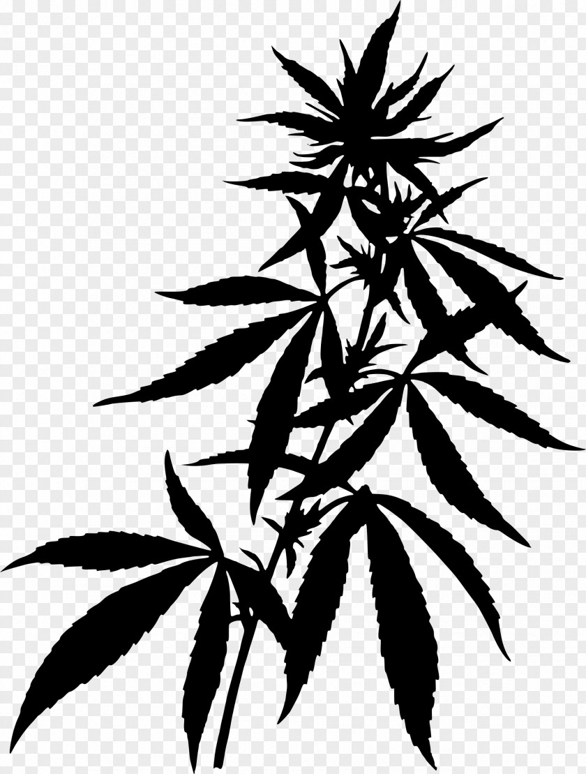 Pot Plant Medical Cannabis Hemp Clip Art PNG