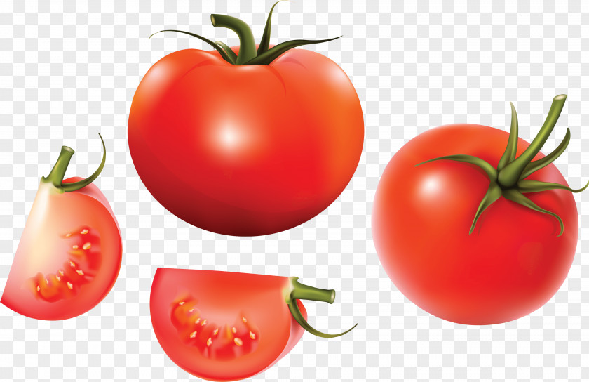 Tomato Image Juice Clip Art PNG