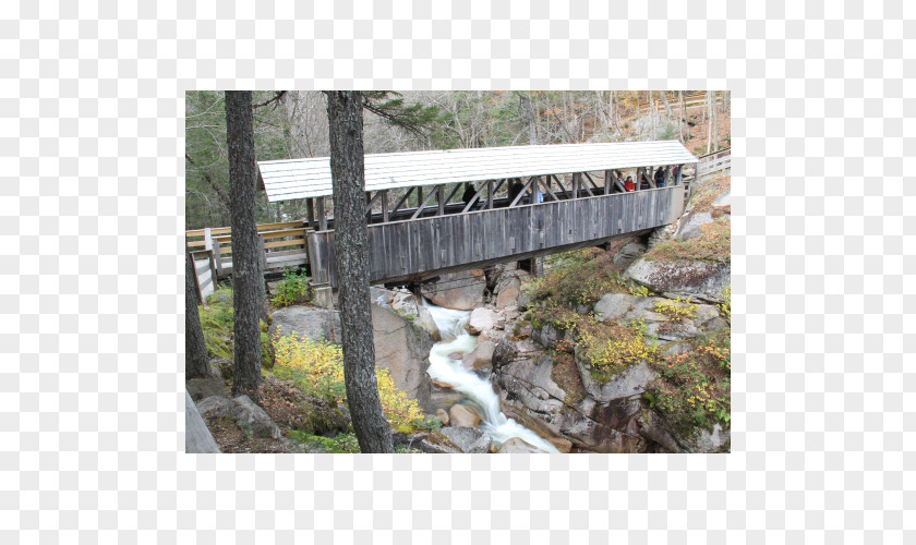 Bridge Franconia Pembroke Bailey New Hampshire State Parks PNG