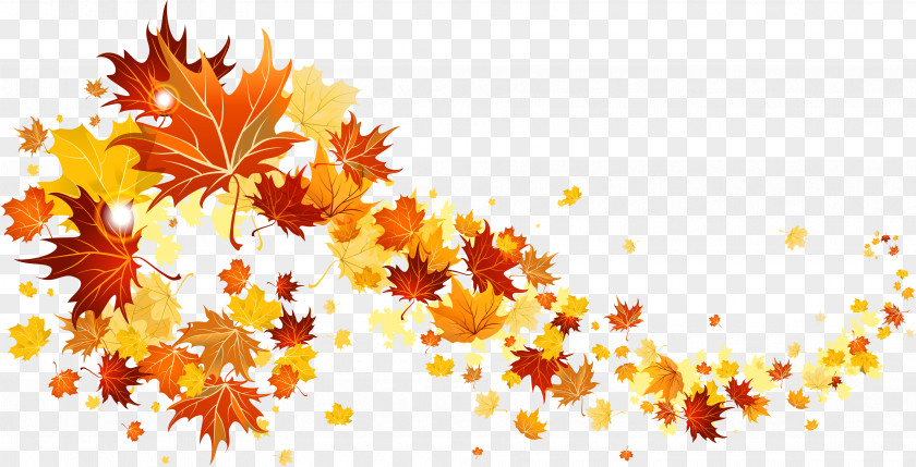 Falling Leaves Transparent Autumn Leaf Color Clip Art PNG