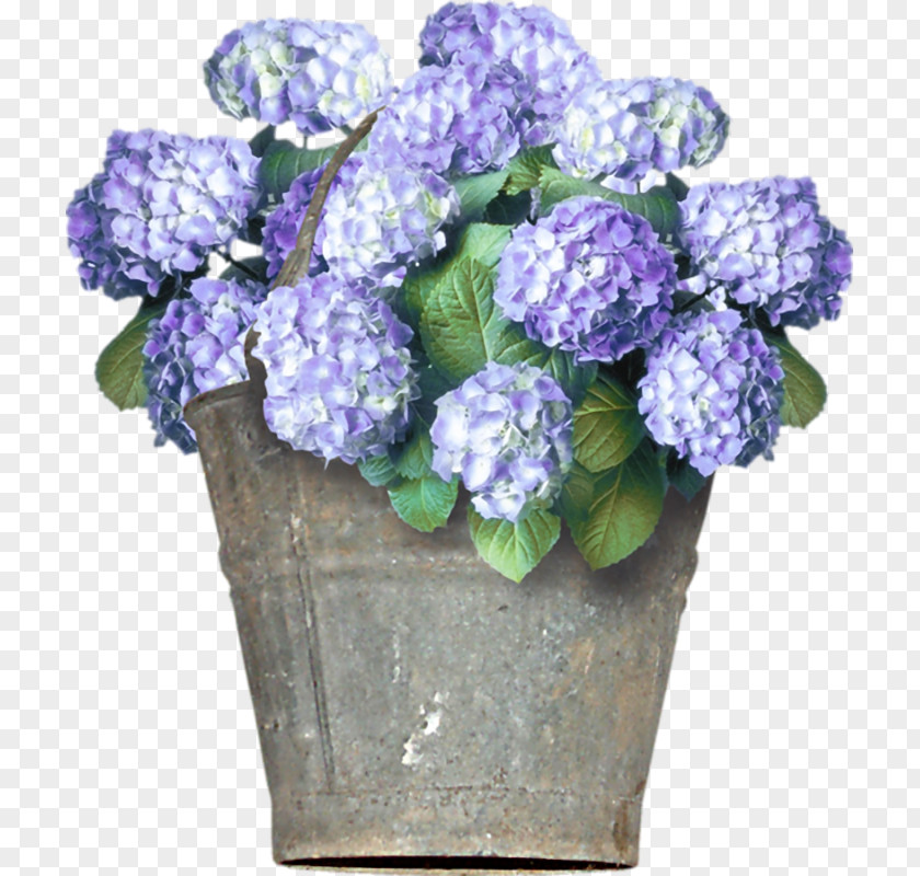 Flower Hydrangea Floral Design Cut Flowers PNG