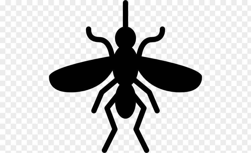 Fly Mosquito Insect Vector Pest Control PNG
