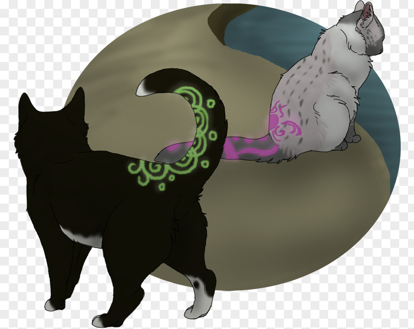 Late Night Cat Whiskers Pet Paw Carnivora PNG