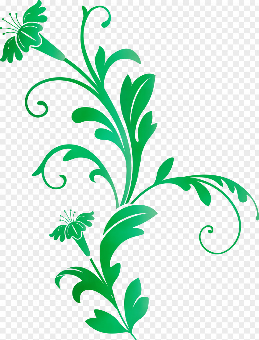 Parsley PNG