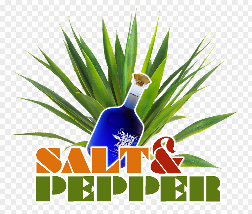 Salt And Pepper Logo Grasses Commodity Tree Font PNG