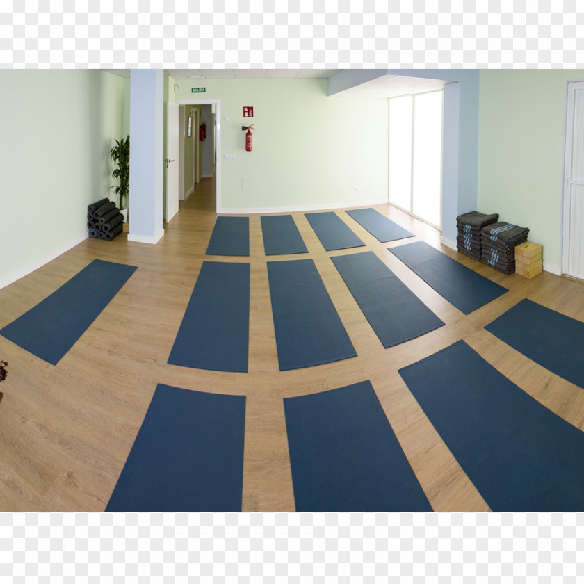 Socrates Wood Flooring Centro Alaminos Carpet PNG