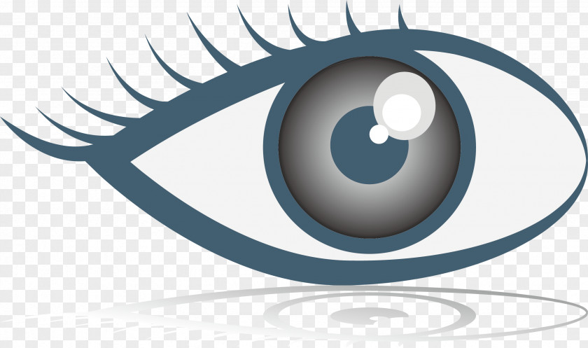 Bright Eyes Eye Euclidean Vector PNG