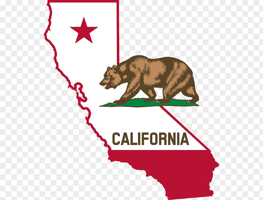 California Bear Prohibition In The United States Adult Use Of Marijuana Act Law Regulation PNG