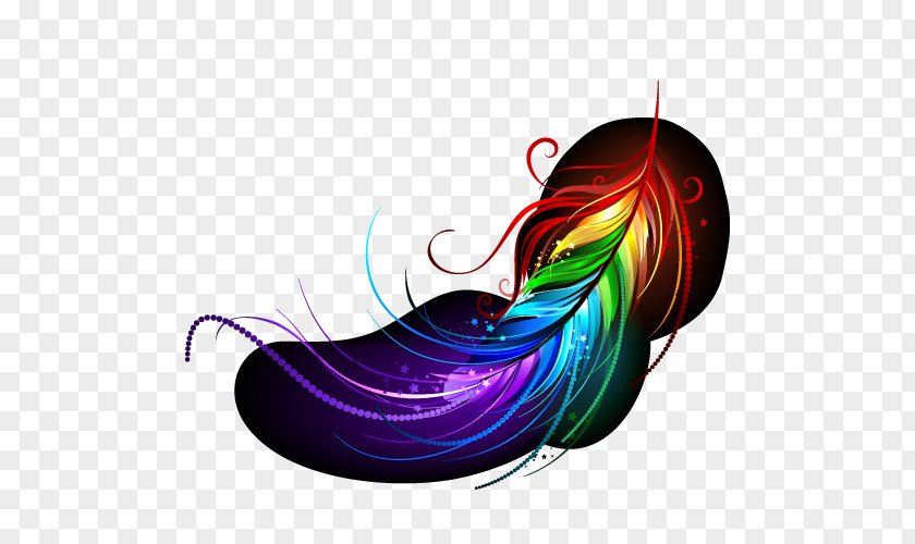 Fancy Feathers Royalty-free Feather Illustration PNG