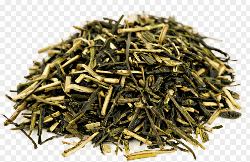 Green Tea Oolong Kukicha Sencha PNG