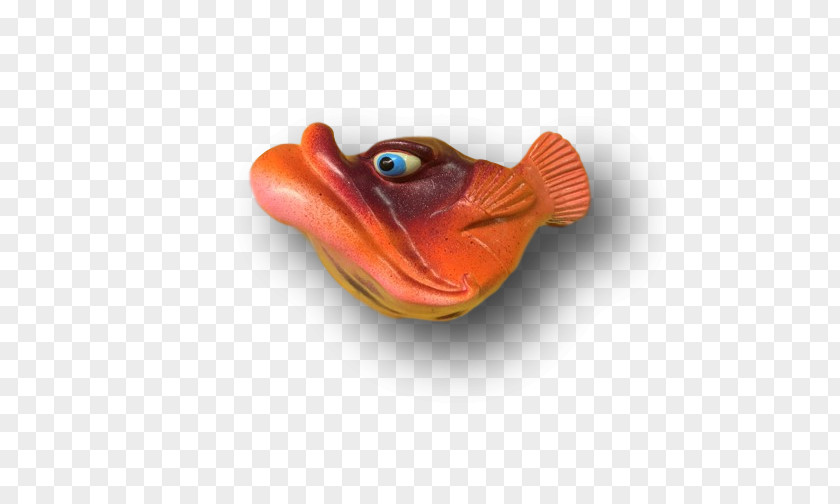 Orange Fish PNG