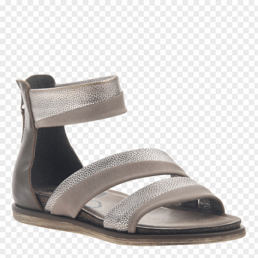 Sandal Shoe Wedge Boot Clothing PNG