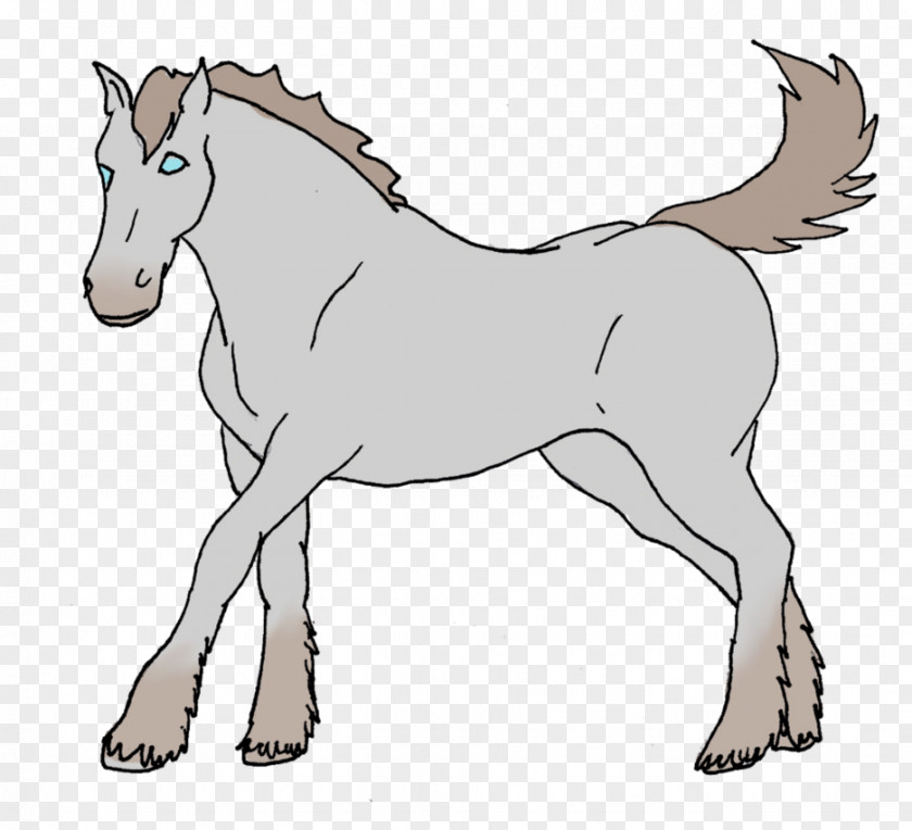 Sheep Creative Mule Foal Stallion Colt Mare PNG