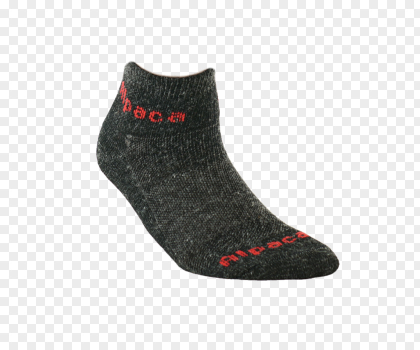 Shoe Sock PNG