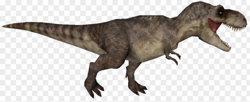 T-rex Tyrannosaurus Tarbosaurus Mononykus Velociraptor Dinosaur PNG