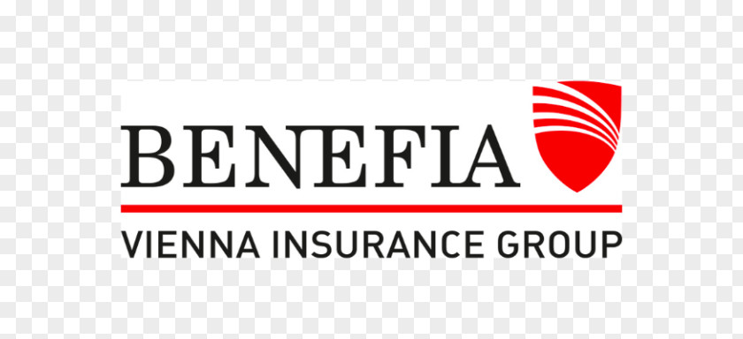 Ubezpieczenia Vienna Insurance GroupOthers Vehicle Liability Care You PNG