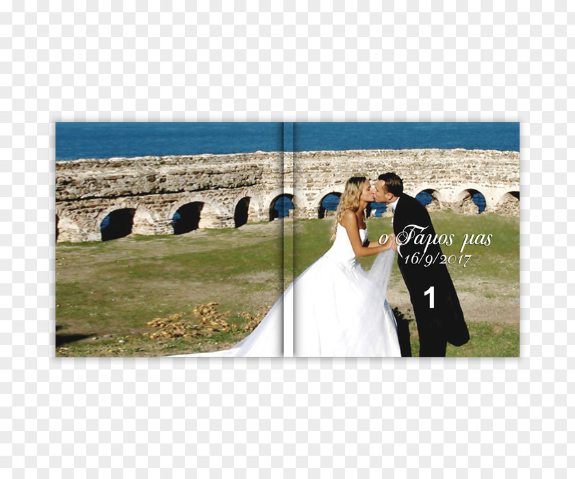 Wedding Photograph Gown Male Love PNG