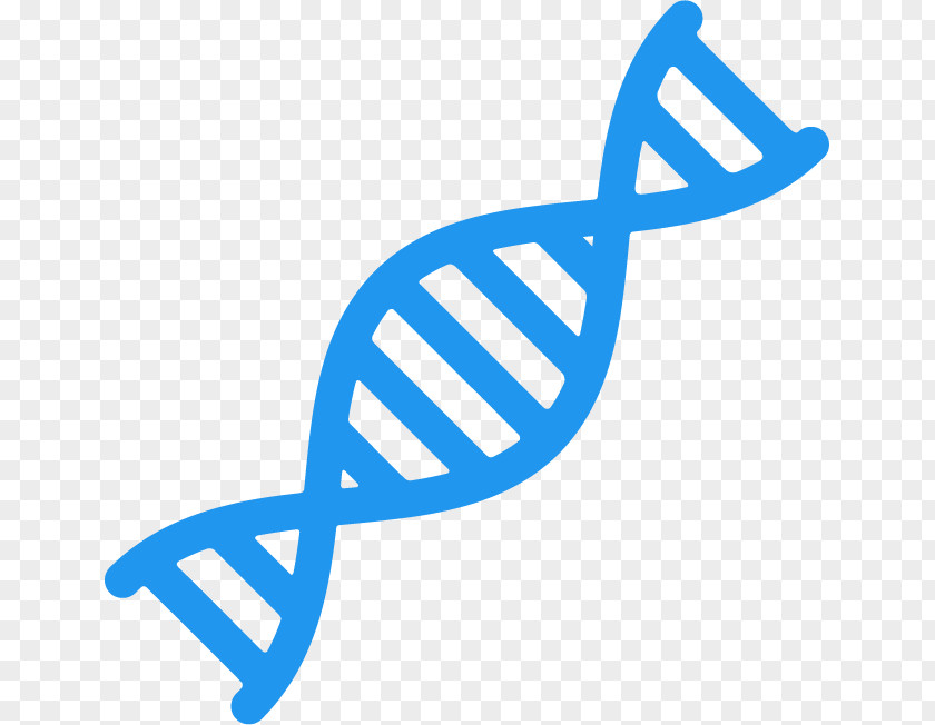 Dna Genetic DNA Nucleic Acid Double Helix Genetics PNG