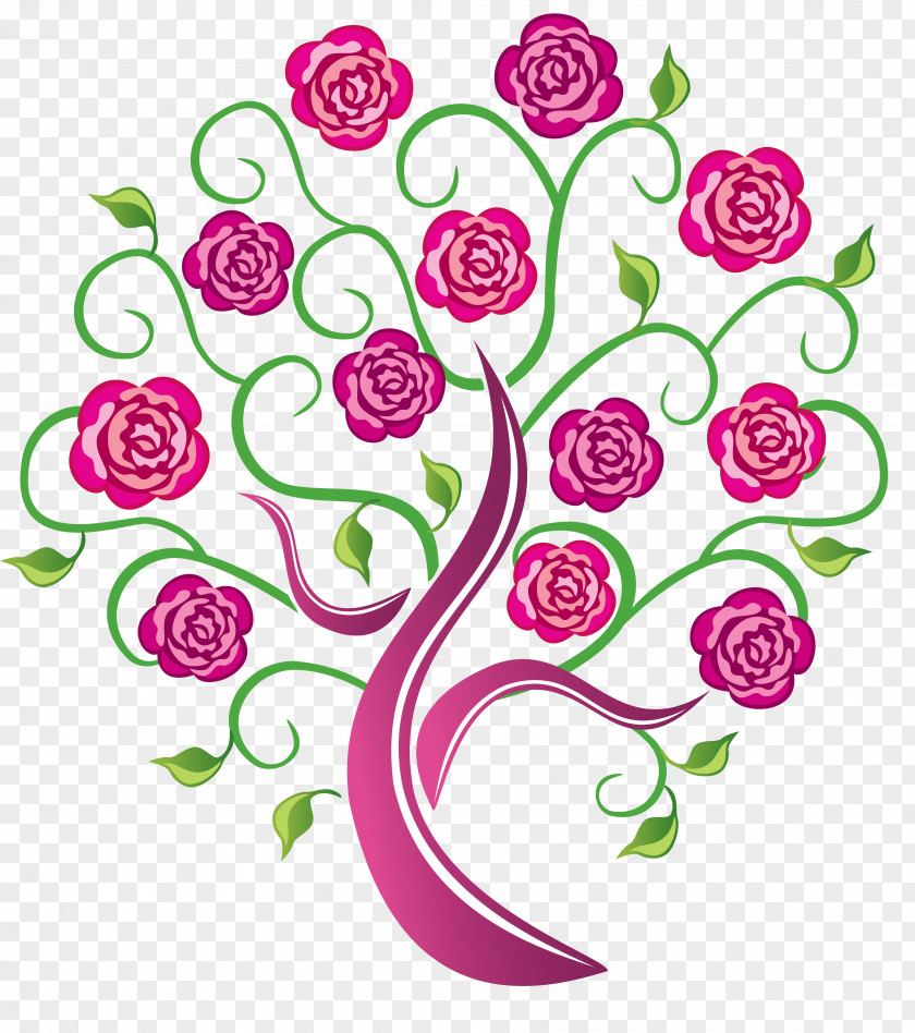 Drawing Flower Kvety Silvia Tree Garden Roses Shrub PNG