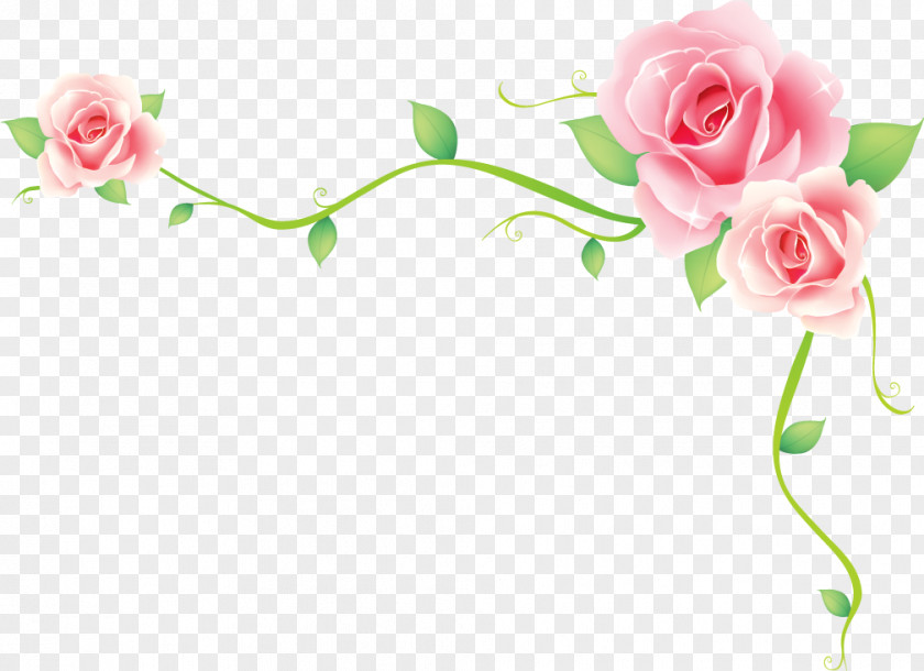Flower Borders And Frames PNG