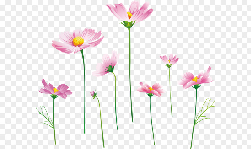 Flower Bouquet Painting Desktop Wallpaper PNG